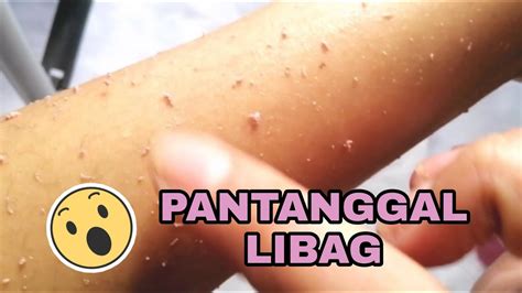 pampatanggal ng libag|MABISANG PANTANGGAL LIBAG .